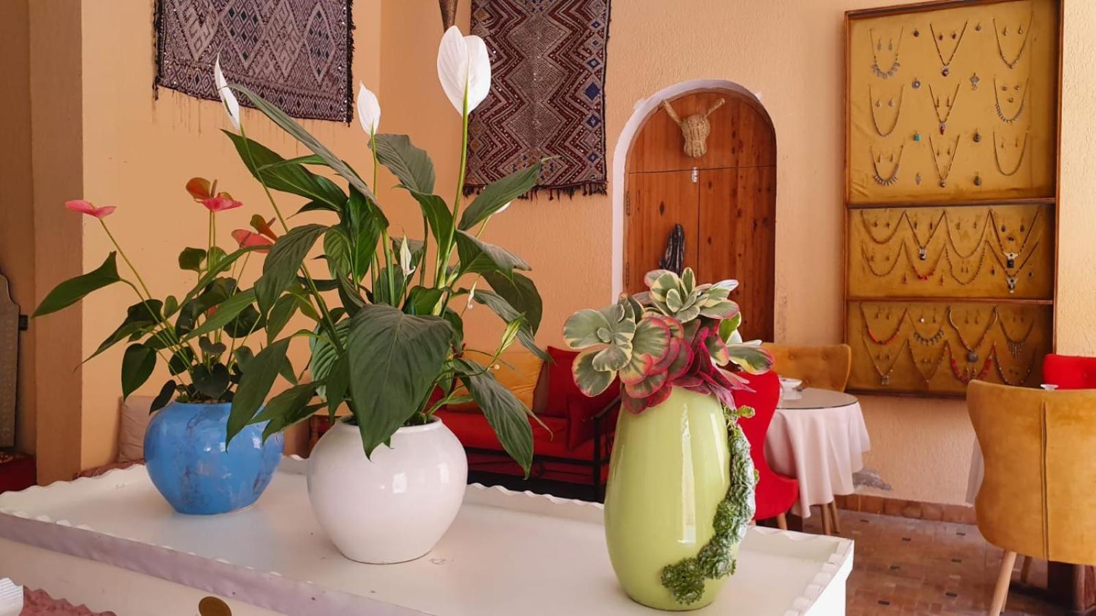 Riad Golf Stinia 2 Meknès Zewnętrze zdjęcie